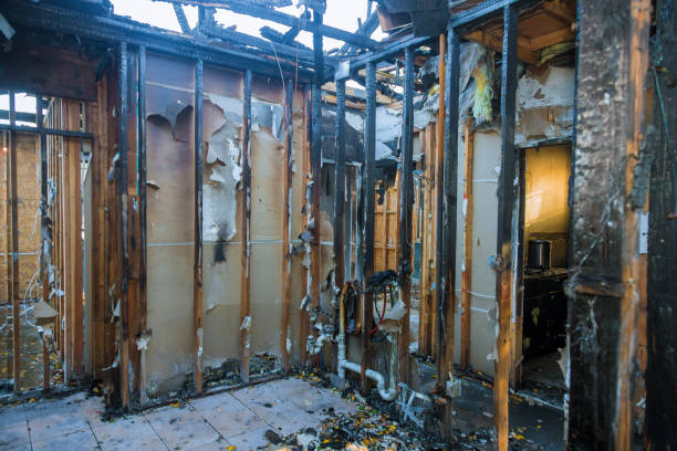 Professional Odor Removal technician working in Abingdon, IL